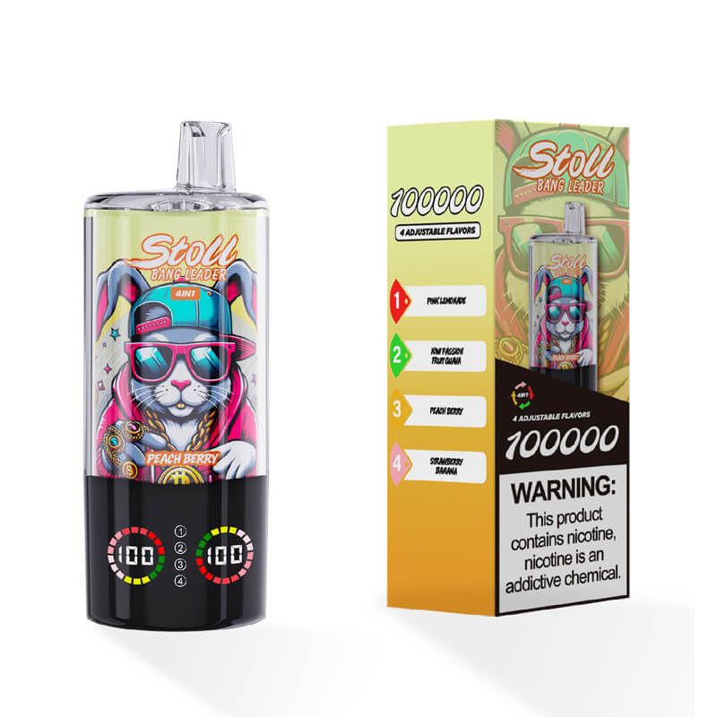 BANG LEADER Stoll 4in1 100000 Puffs